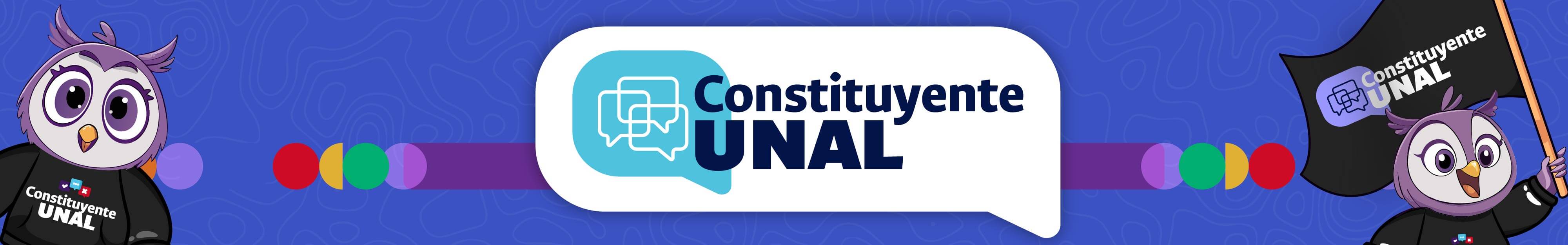 Banner Constituyente